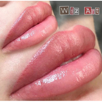 Light Rose WizArt пигмент для ПМ губ 