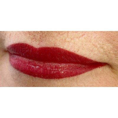 Merlot WizArt пигмент для перманентного макияжа губ 