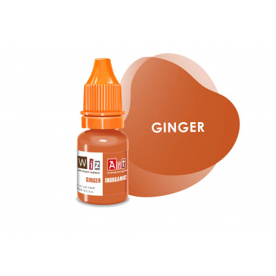 Ginger WizArt pigment for correction 