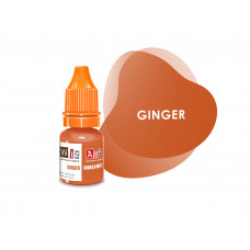 Ginger WizArt пигмент для коррекции