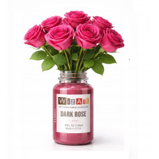 DARK ROSE WizArt Classic пигмент для перманентного макияжа губ 10мл