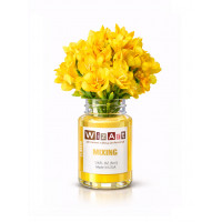 Mixing WizArt Classic пигмент для коррекции 10мл