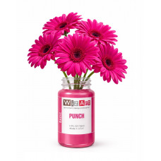 PUNСH WizArt Basic пигмент для перманентного макияжа губ 10мл	